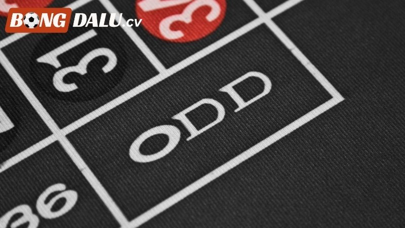 Những lưu ý khi lựa chọn tỷ lệ Odds trong bóng đá