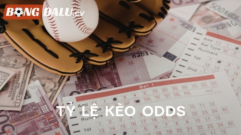 Tỷ lệ Odds là gì trong cá cược bóng đá?