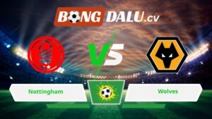 Soi kèo bóng đá Nottingham vs Wolves 02h30 ngày 12/02/2026 – Ngoại hạng Anh