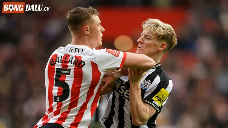 Phong độ gần đây của Newcastle vs Sunderland